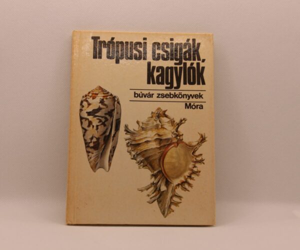 Búvár zsebkönyv sorozat - Trópusi csigák, kagylók
